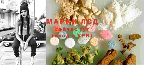 гидра Верея